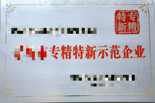 蘇州市中小微企業“專精特新”示范企業項目