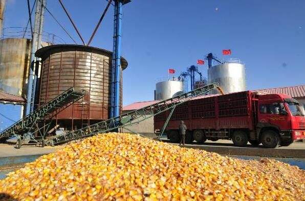 “現代食品加工及糧食收儲運技術與裝備”重點專項2018年度項目咨詢指南