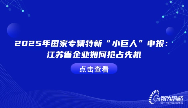 2025年國家專精特新“小巨人”申報：江蘇省企業如何搶占先機.jpg
