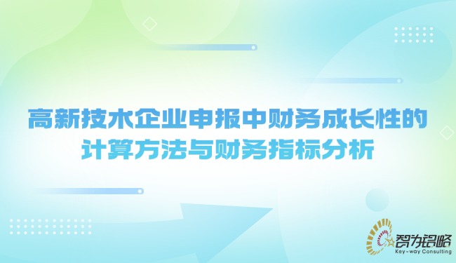 高新技術企業(yè)申報中財務成長性的計算方法與財務指標分析.jpg