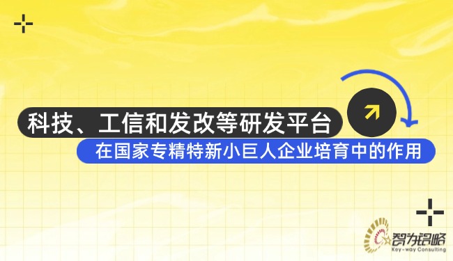 科技、工信和發改等研發平臺在國家專精特新小巨人企業培育中的作用.jpg