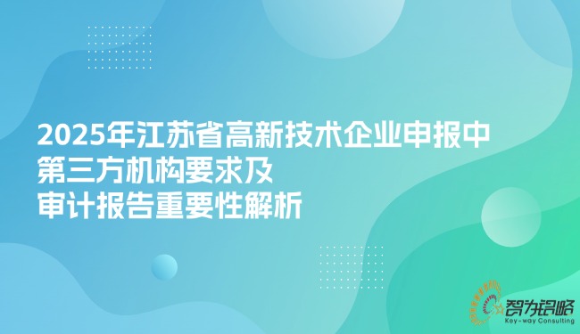 2025年江蘇省高新技術(shù)企業(yè)申報中*三方機(jī)構(gòu)要求及審計報告重要性解析.jpg