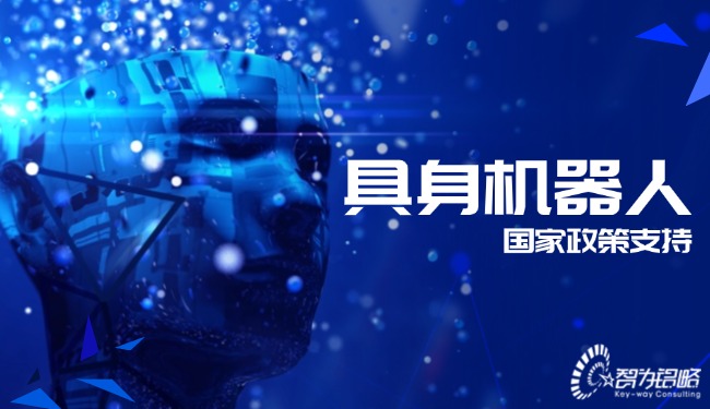 具身機器人國家政策支持